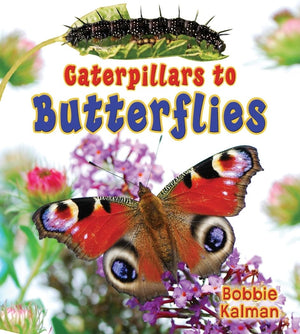 Caterpillars to Butterflies (It's Fun to Learn about Baby Animals),Used
