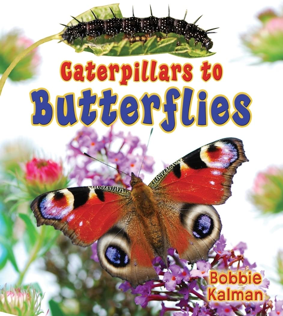 Caterpillars to Butterflies (It's Fun to Learn about Baby Animals),Used