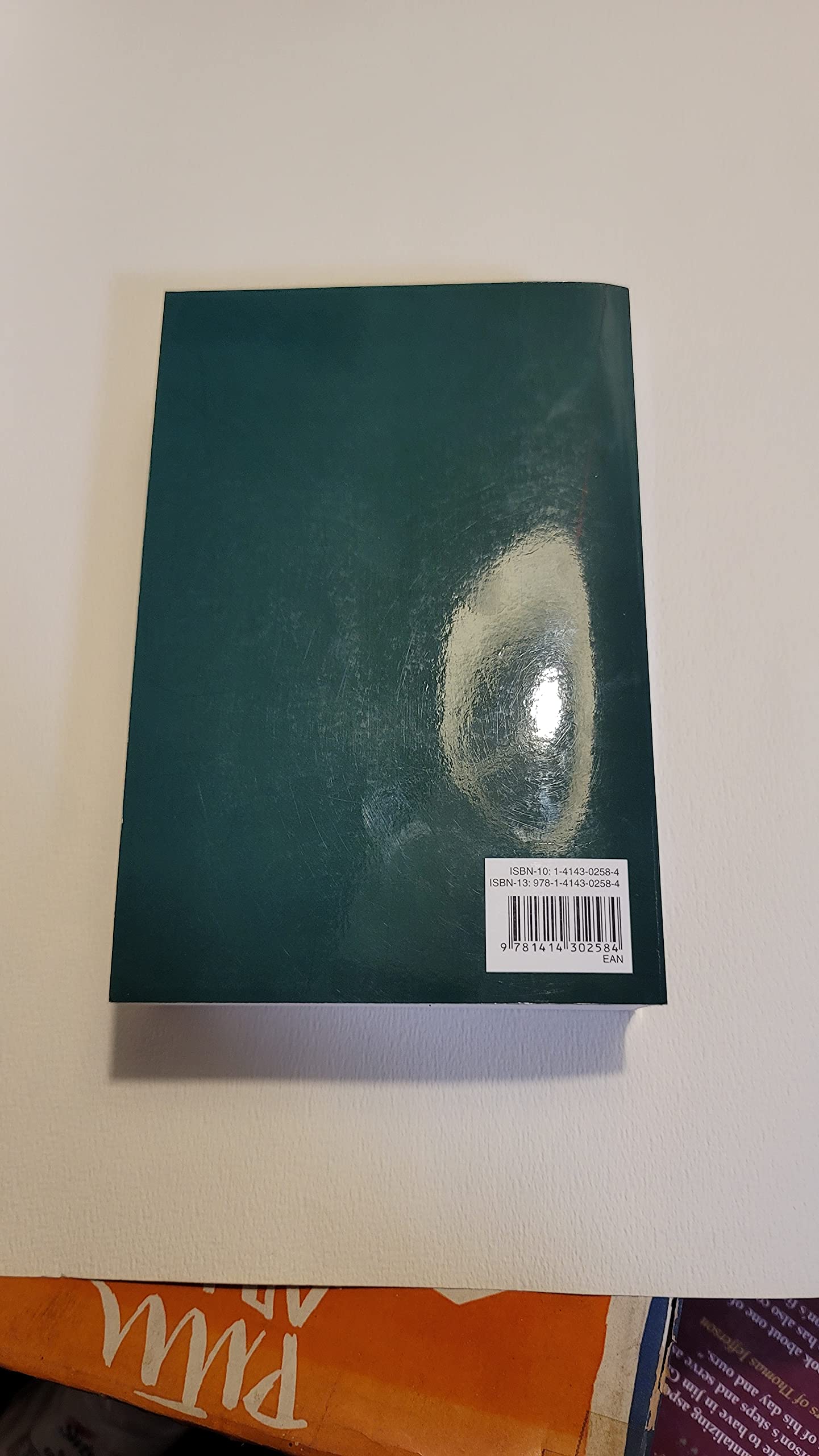 Life Application Study Bible Nlt, Personal Size