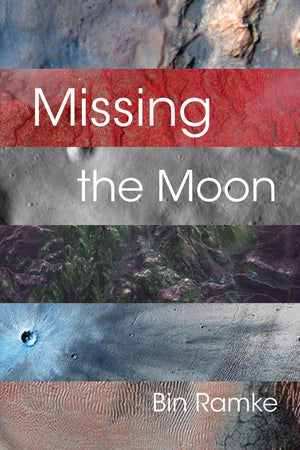 Missing the Moon,Used