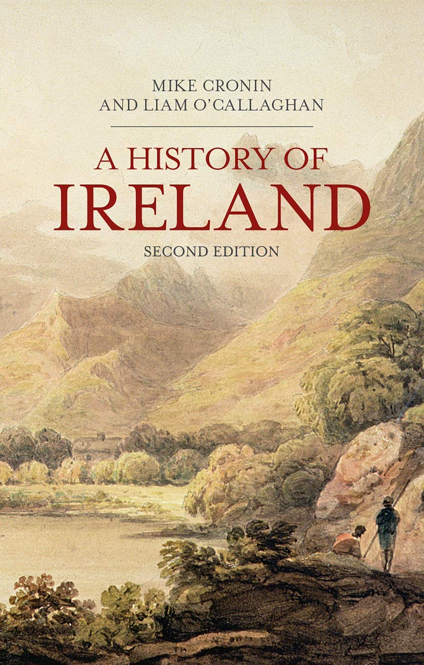 A History of Ireland (Bloomsbury Essential Histories, 35)