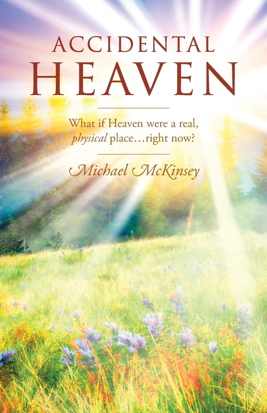 Accidental Heaven: What If Heaven Were A Real, Physical Place...Right Now?,Used