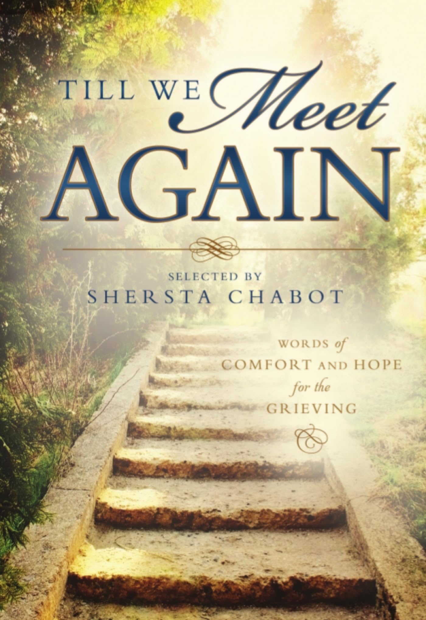 Till We Meet Again: Words of Comfort and Hope for the Grieving,Used