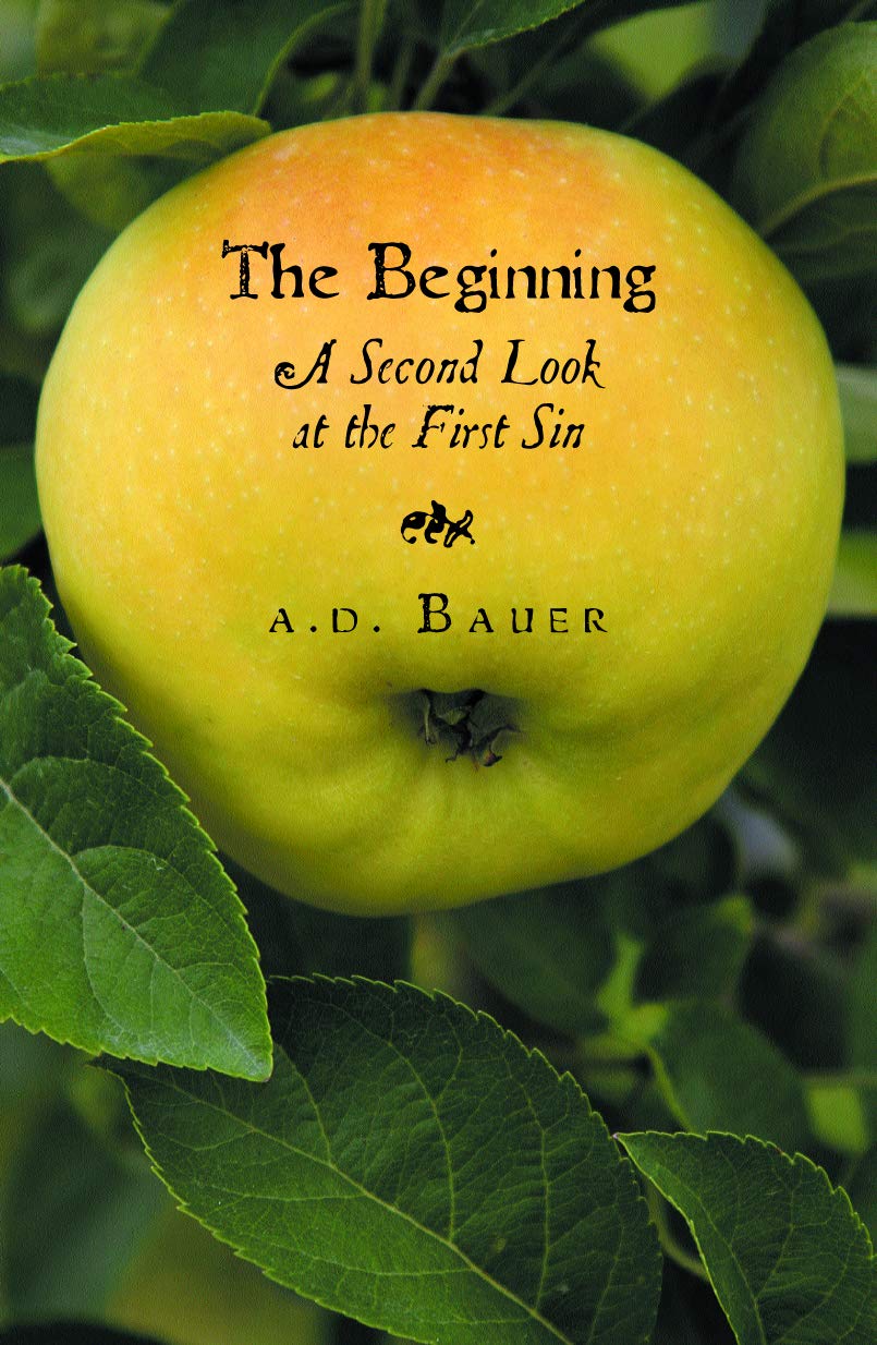 Beginning: A Second Look at the First Sin,Used
