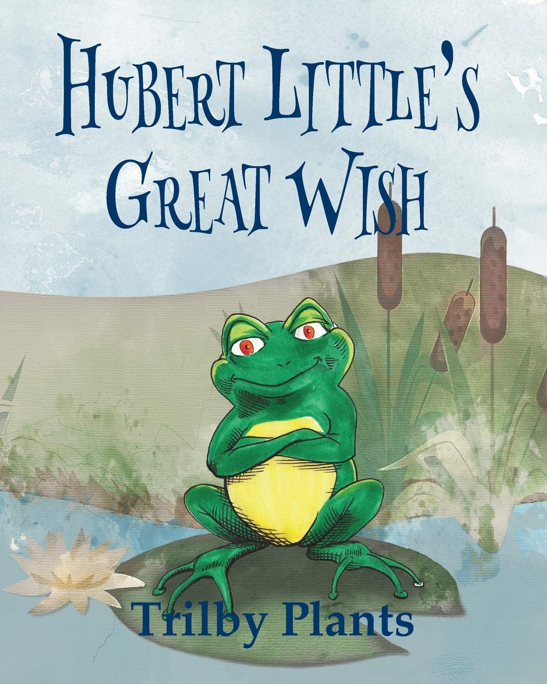 Hubert Little's Great Wish,Used