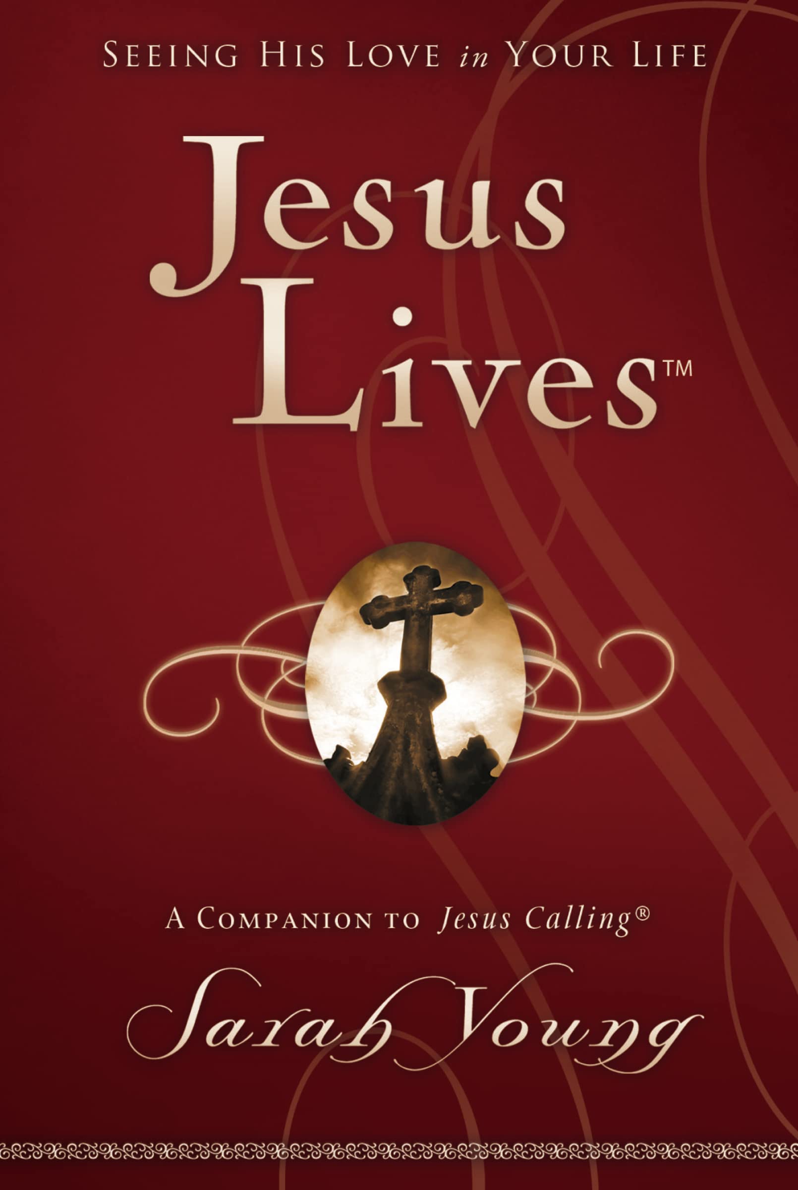 Jesus Lives, with Full Scriptures: Seeing His Love in Your Life (A 180Day Devotional),Used