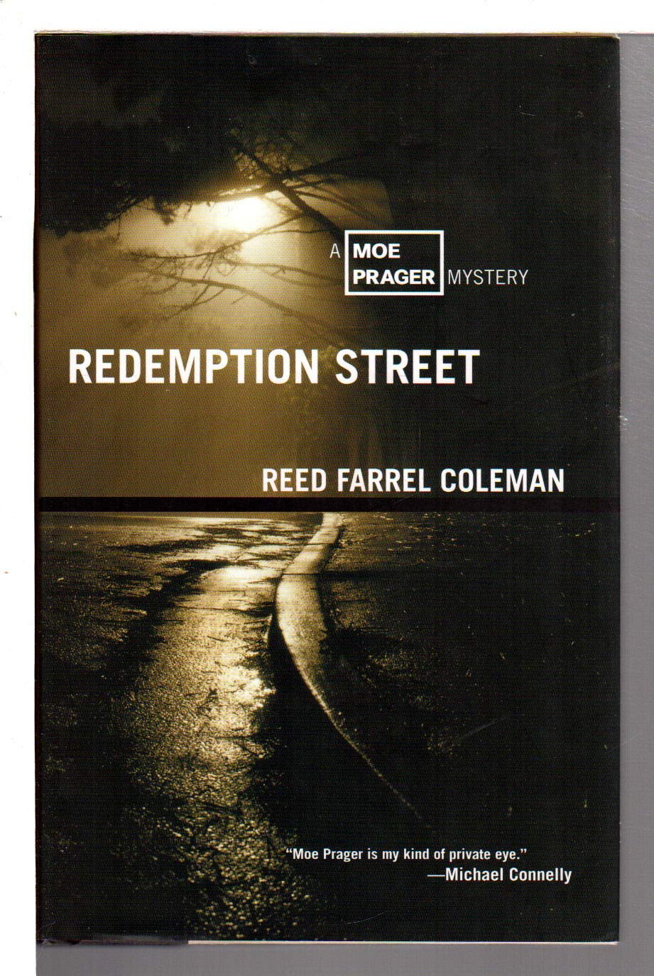 Redemption Street: A Moe Prager Mystery,Used