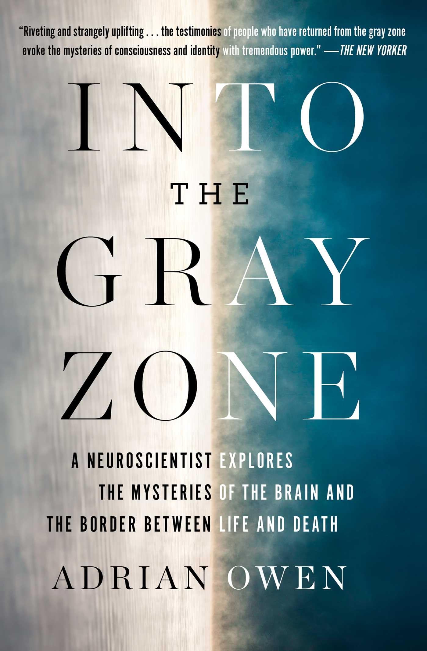 Into The Gray Zone: A Neuroscientist Explores The Mysteries Of The Brain And The Border Between Life And Death,New