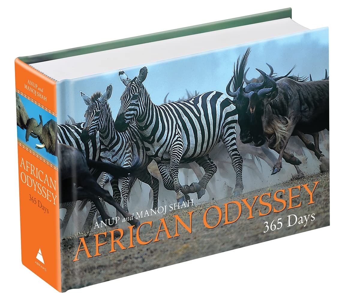 African Odyssey: 365 Days,New