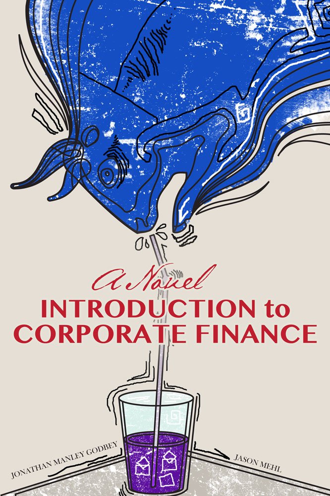 A Novel Introduction to Corporate Finance,Used