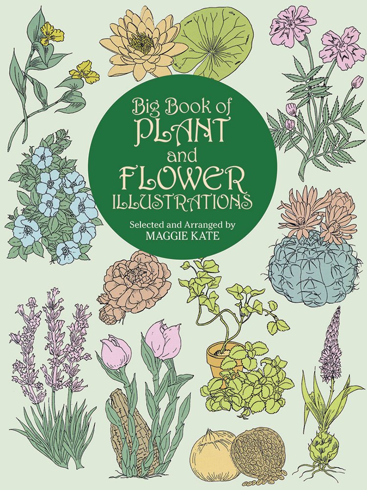 Big Book of Plant and Flower Illustrations (Dover Pictorial Archive),Used