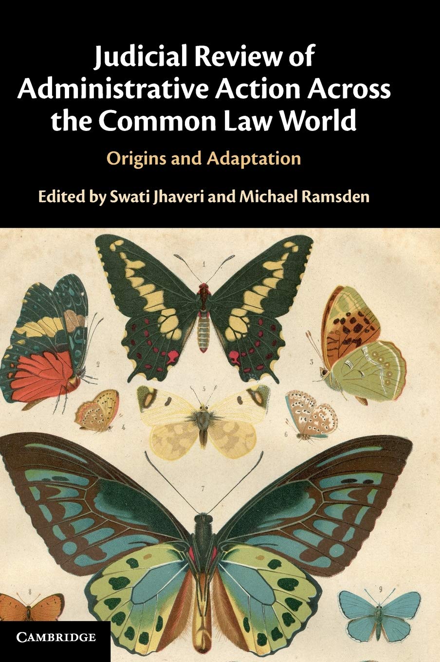 Judicial Review of Administrative Action Across the Common Law World: Origins and Adaptation,Used