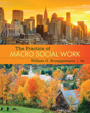 The Practice of Macro Social Work,New