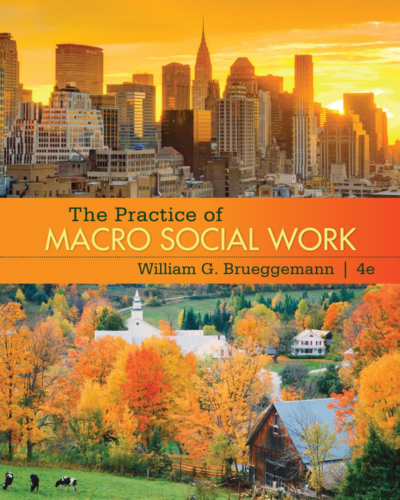The Practice of Macro Social Work,New