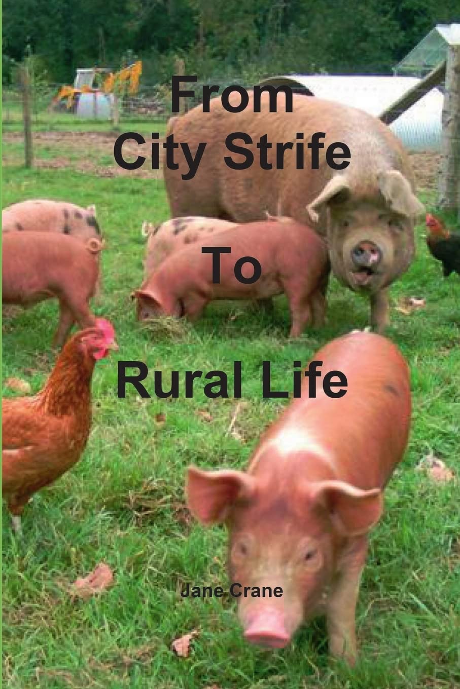 City Strife To Rural Life,Used