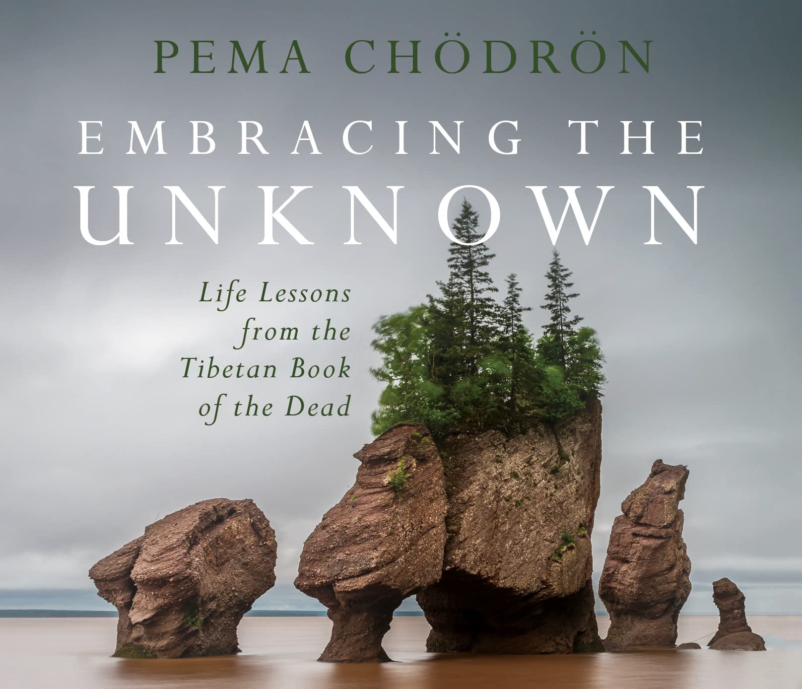 Embracing the Unknown: Life Lessons from the Tibetan Book of the Dead,Used