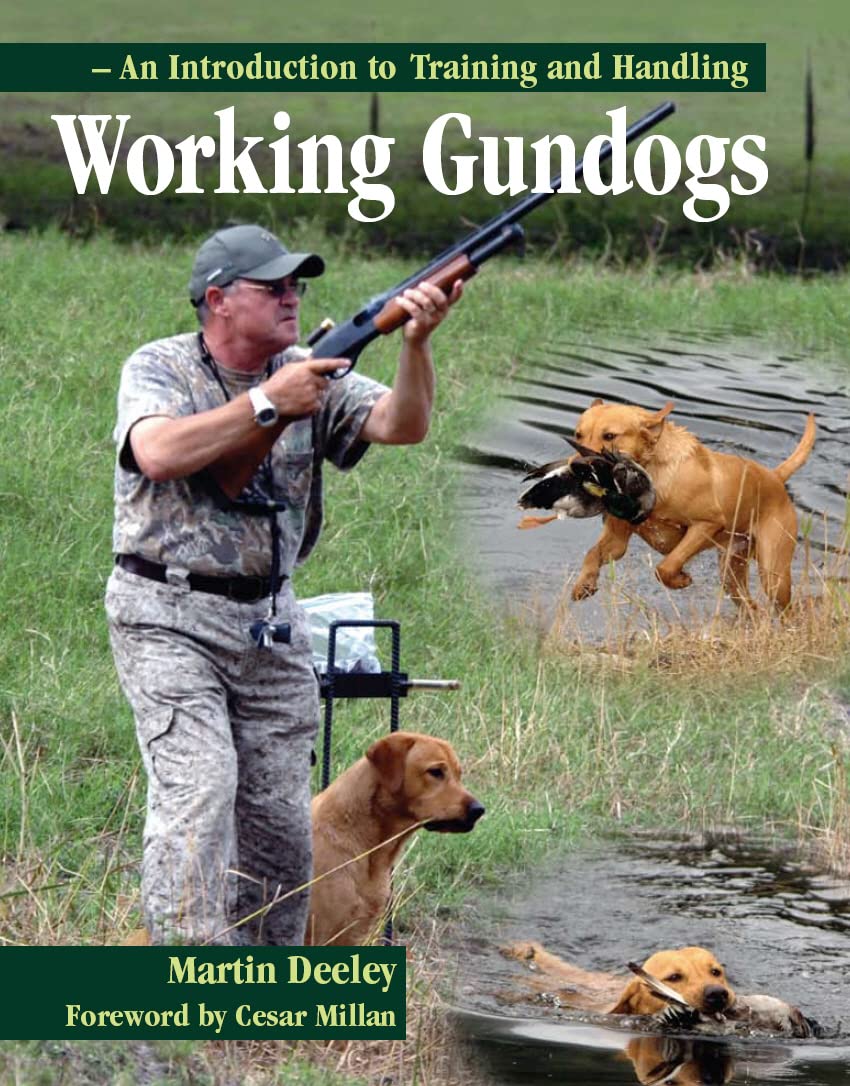 Working Gundogs: An Introduction to Training and Handling,Used