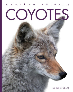 COYOTES