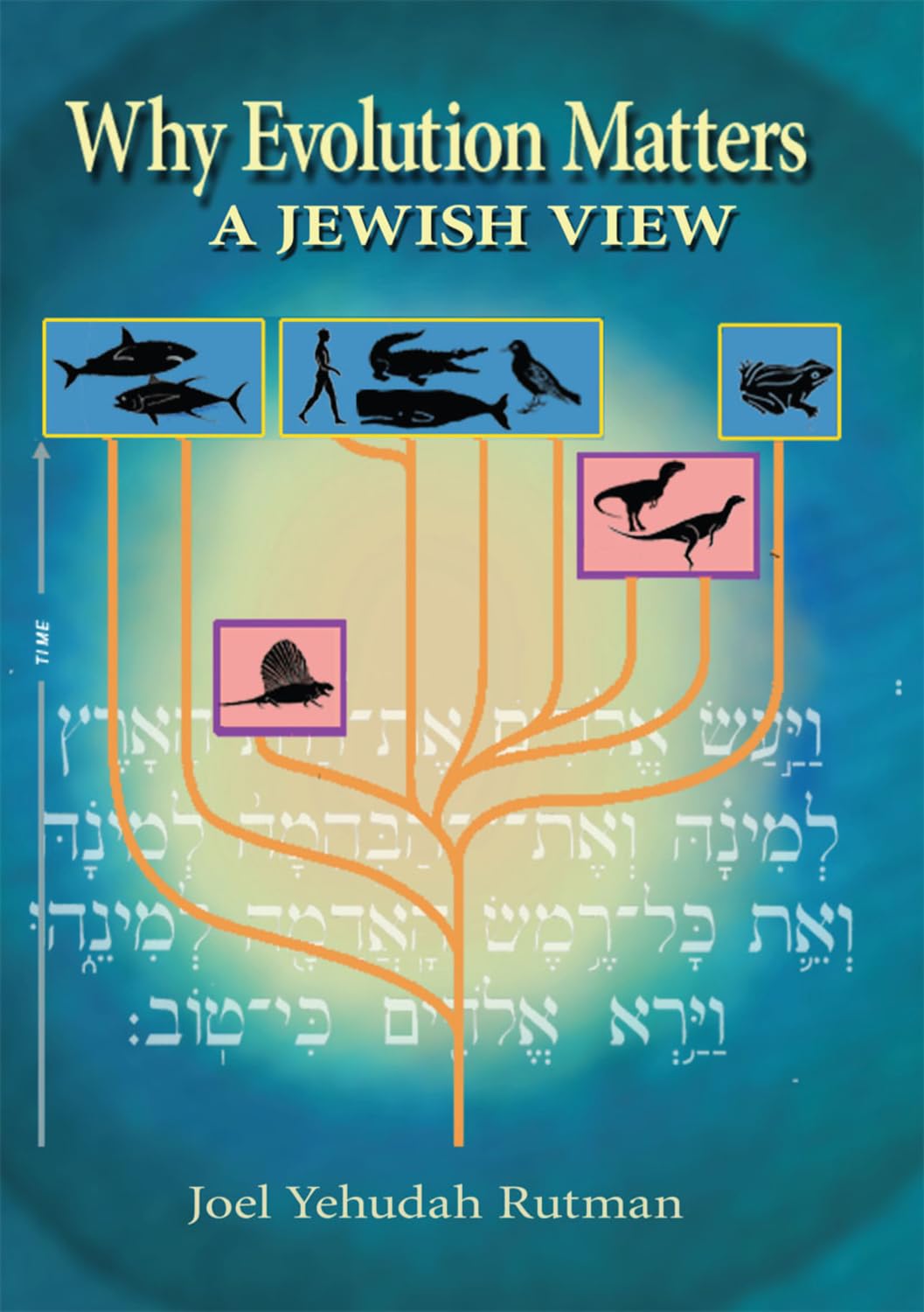 Why Evolution Matters: A Jewish View,Used