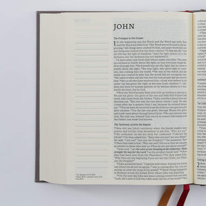 NET Bible, Journal Edition, Cloth over Board, Gray, Comfort Print: Holy Bible,Used