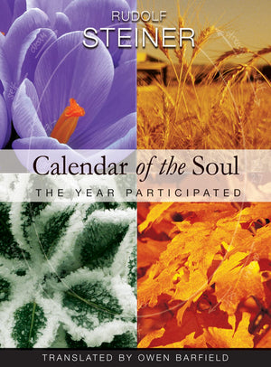Calendar of the Soul: The Year Participated (CW 40) (Meditations),Used