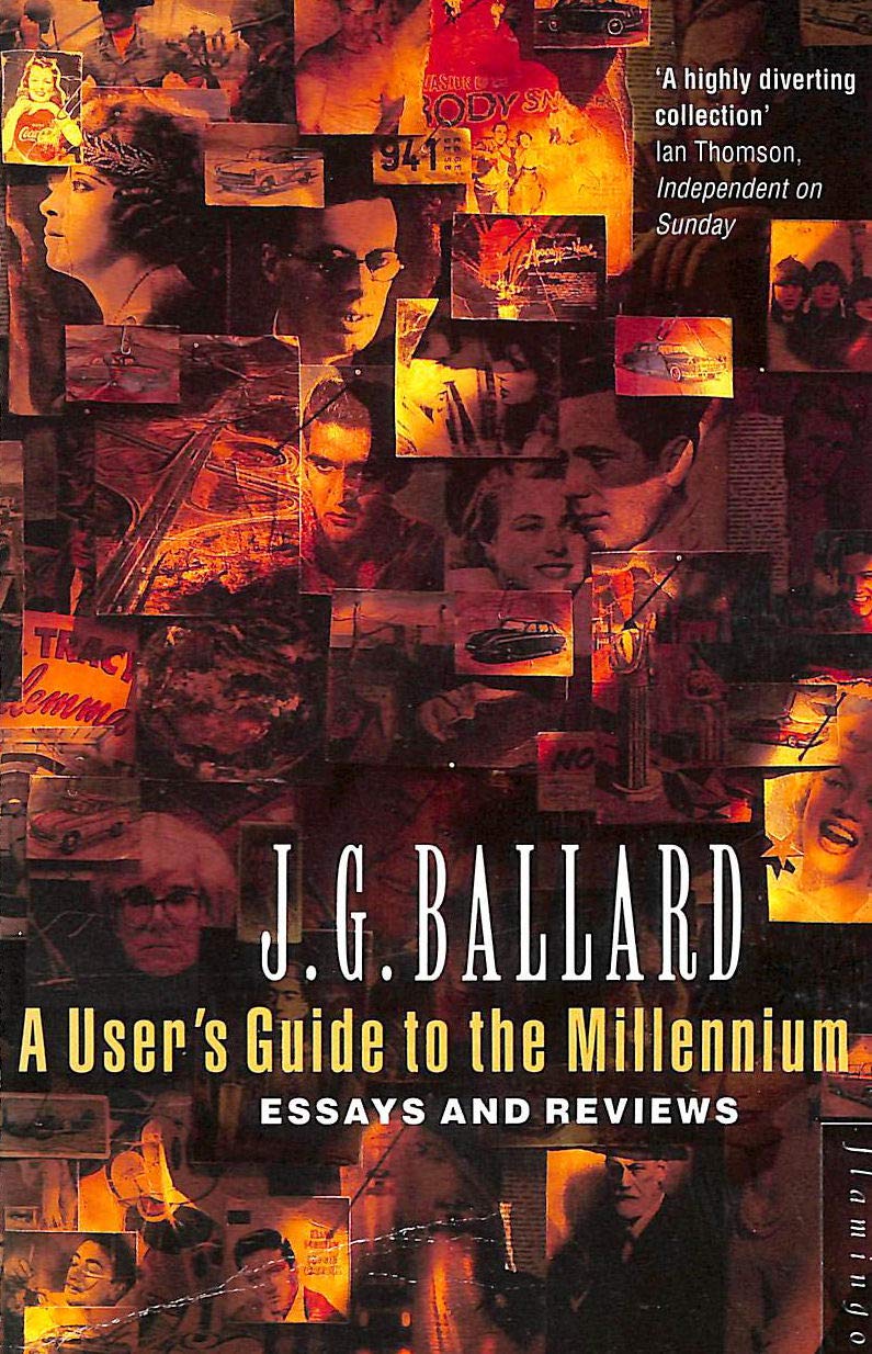A Users Guide to the Millennium: Essays and Reviews,Used