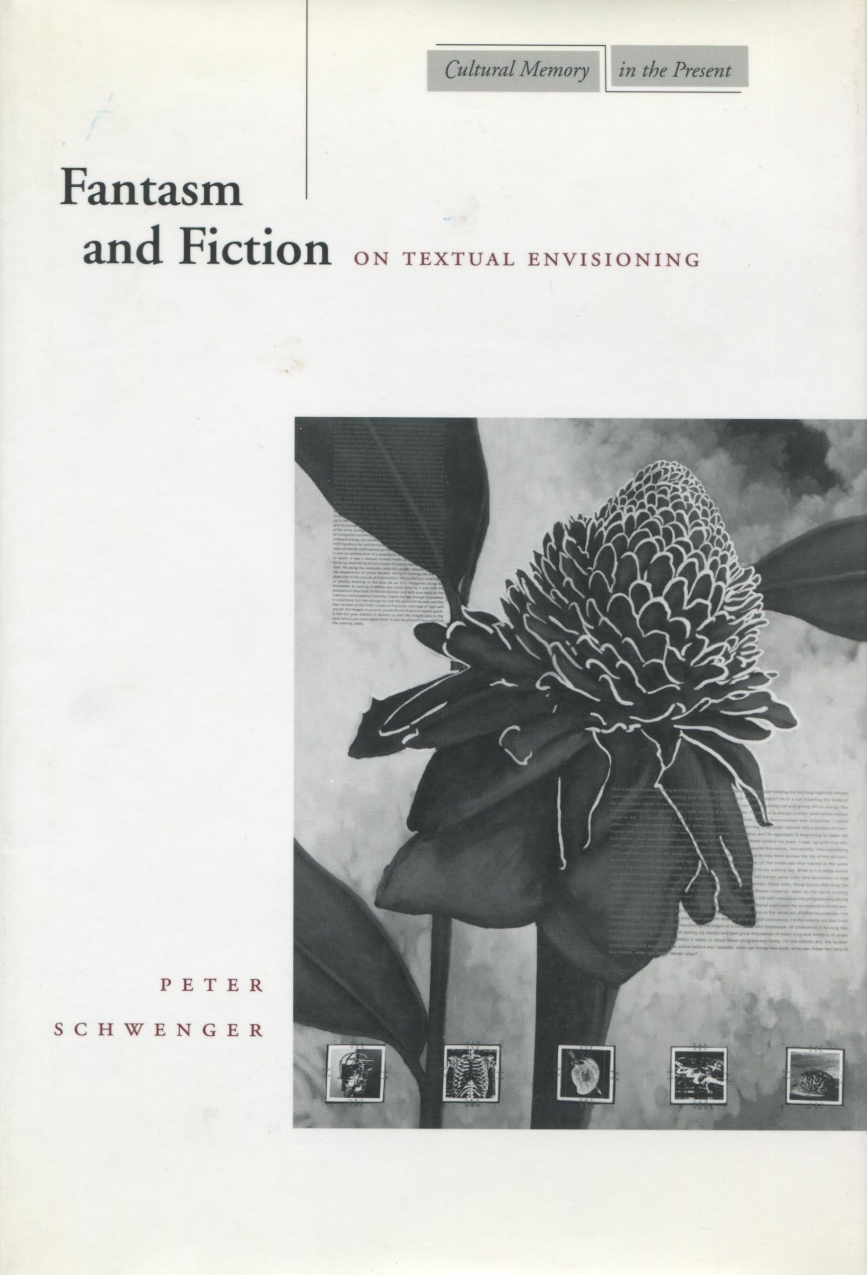 Fantasm And Fiction: On Textual Envisioning (Cultural Memory In The Present),New