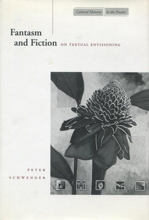 Fantasm And Fiction: On Textual Envisioning (Cultural Memory In The Present),New