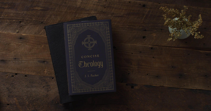 Concise Theology,Used