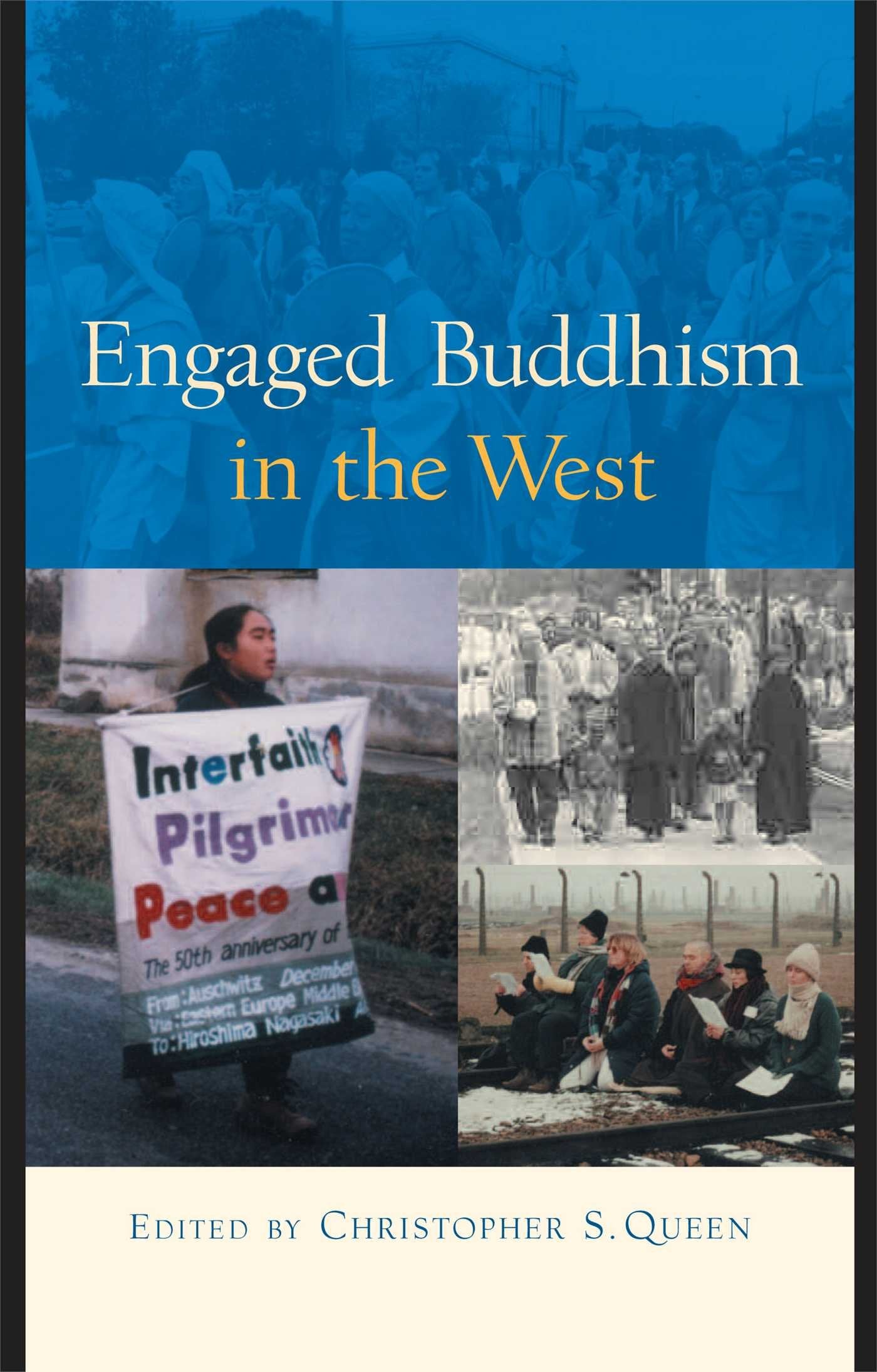 Engaged Buddhism in the West,Used