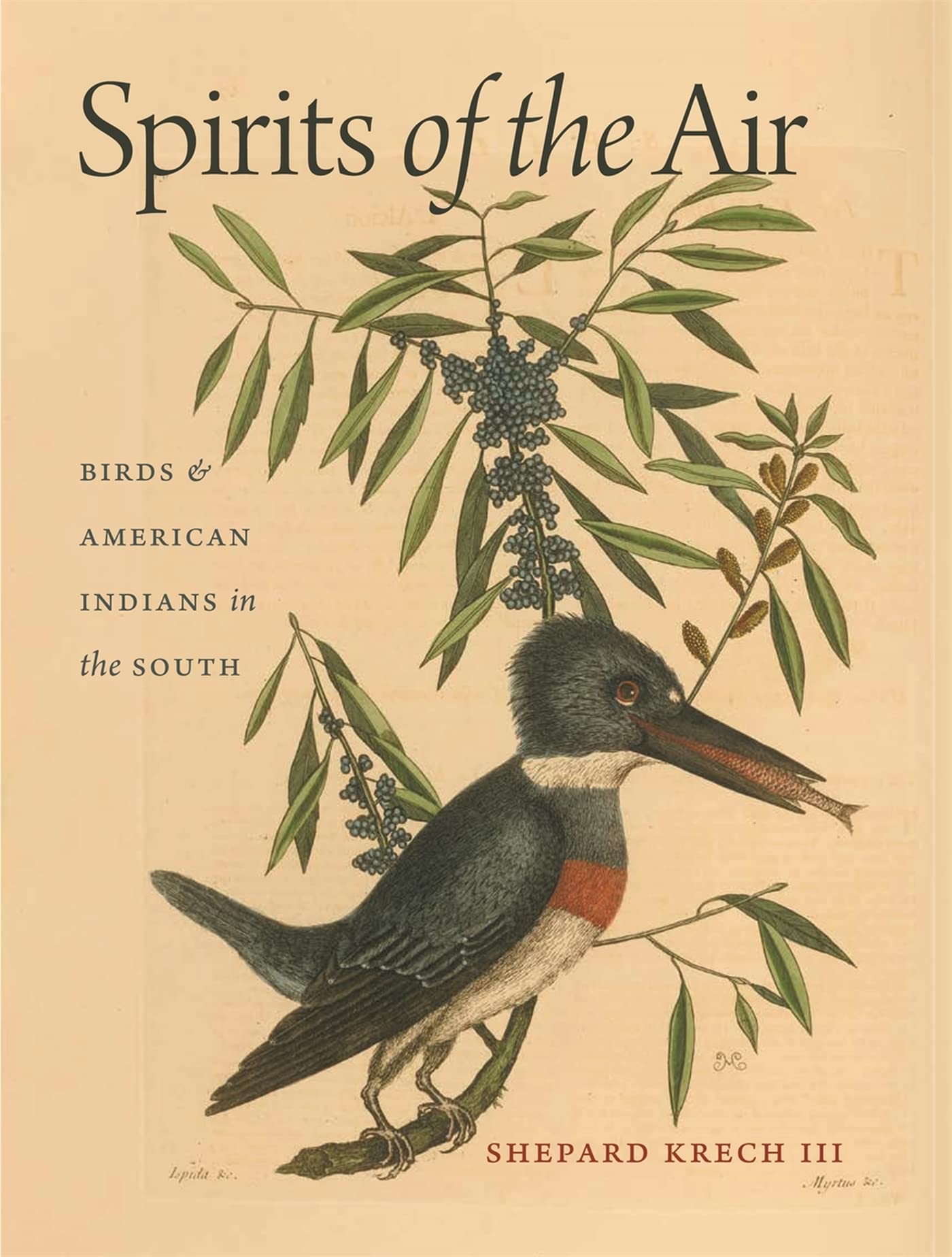Spirits Of The Air: Birds And American Indians In The South (Environmental History And The American South Ser.)