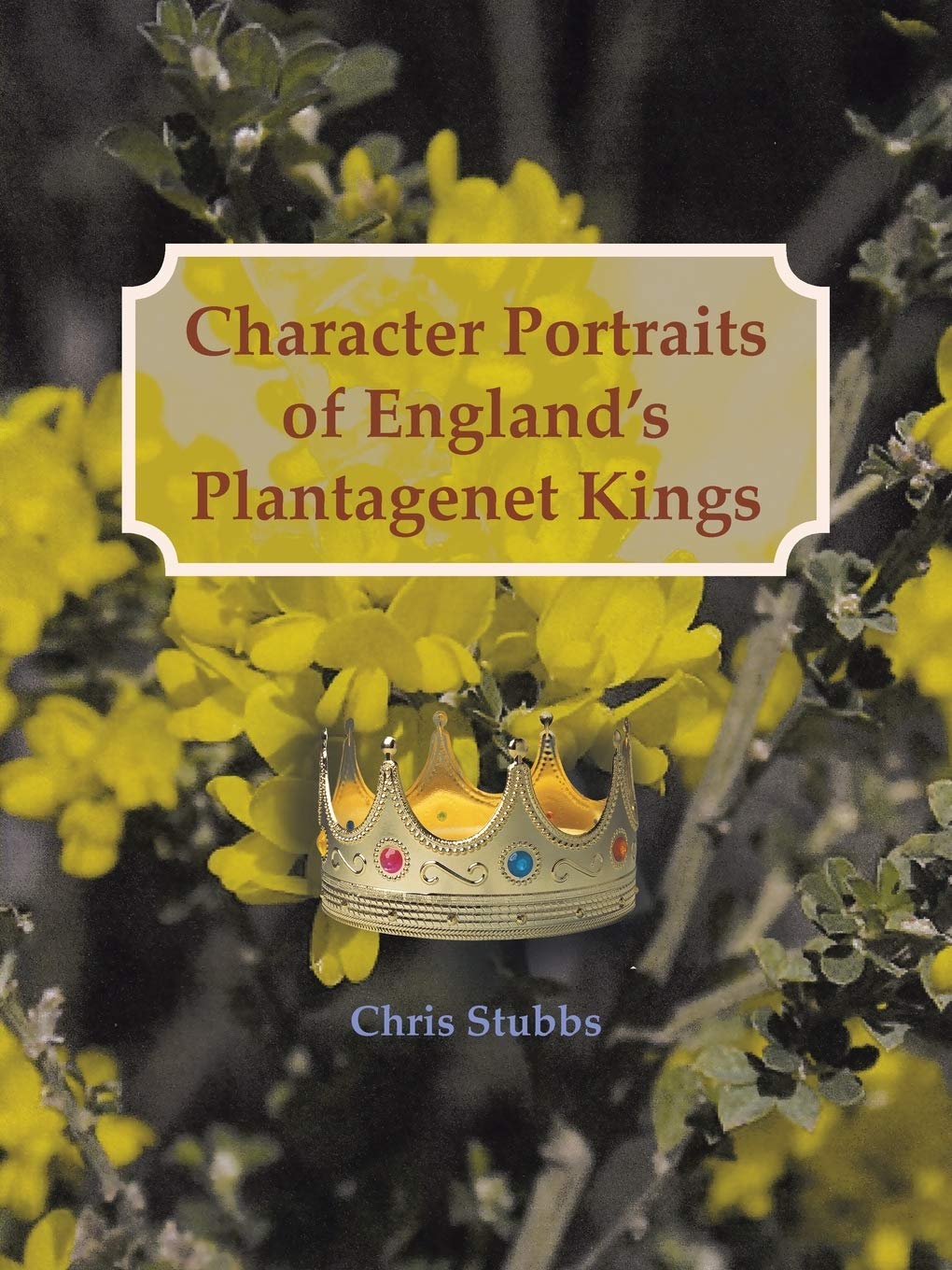 Character Portraits Of England'S Plantagenet Kings: 1132  1485 A.D.,Used