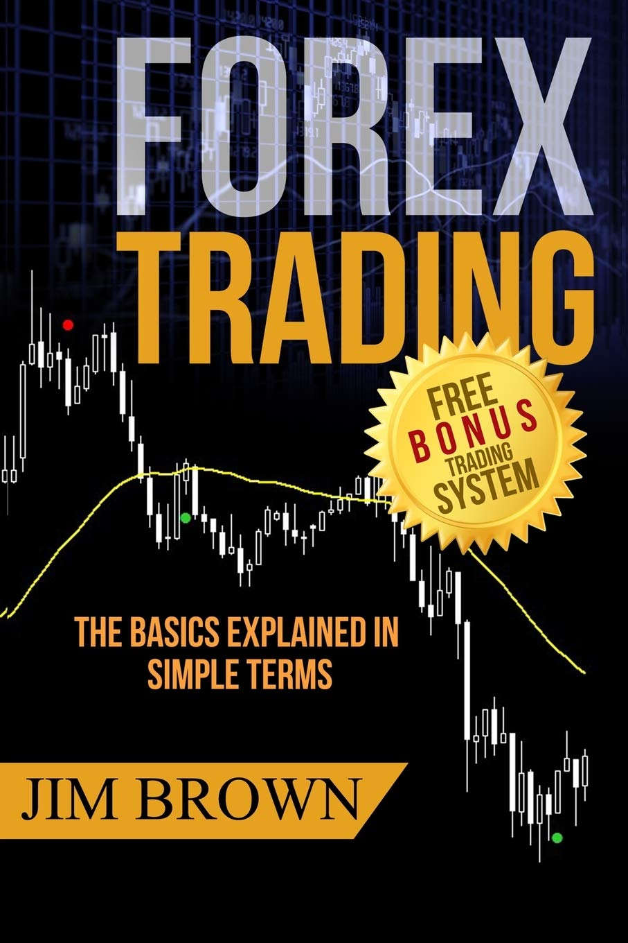 FOREX TRADING: The Basics Explained in Simple Terms (Forex, Forex Trading System, Forex Trading Strategy, Oil, Precious metals, ,New