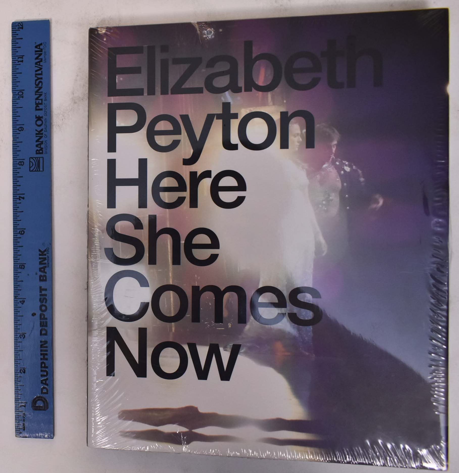 Elizabeth Peyton: Here She Comes Now,Used