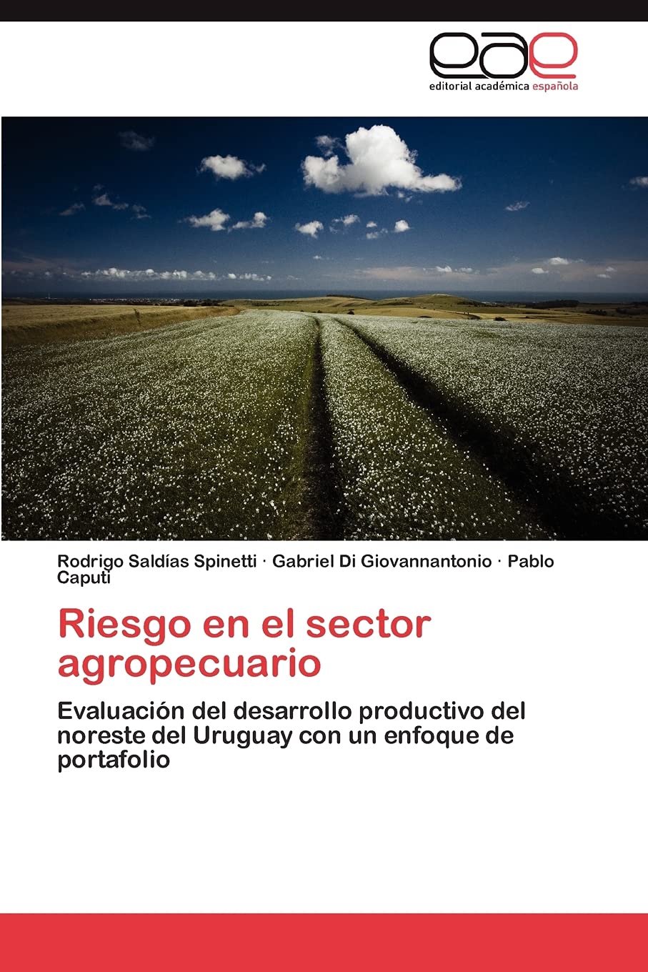 Riesgo en el sector agropecuario: Evaluacin del desarrollo productivo del noreste del Uruguay con un enfoque de portafolio (Sp,Used