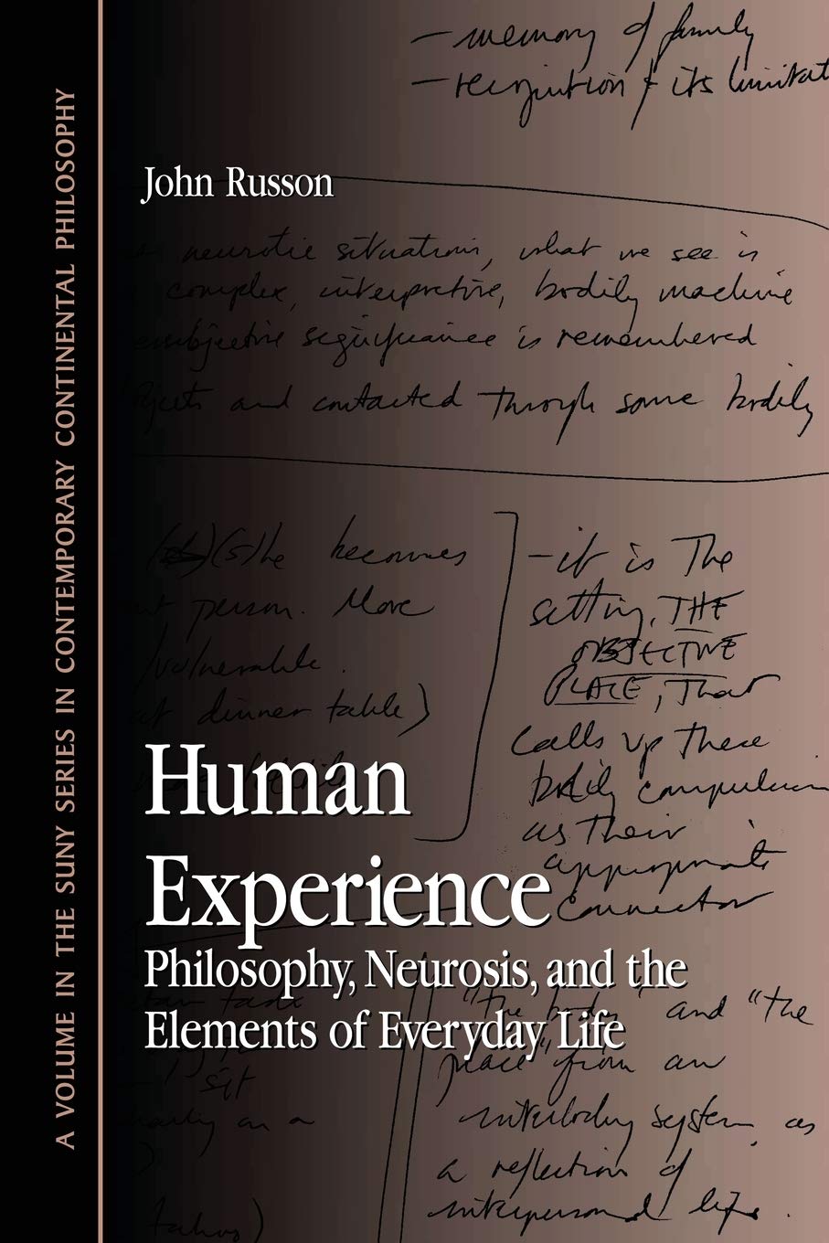 Human Experience: Philosophy, Neurosis, and the Elements of Everyday Life (Suny Series in Contemporary Continental Philosophy),Used