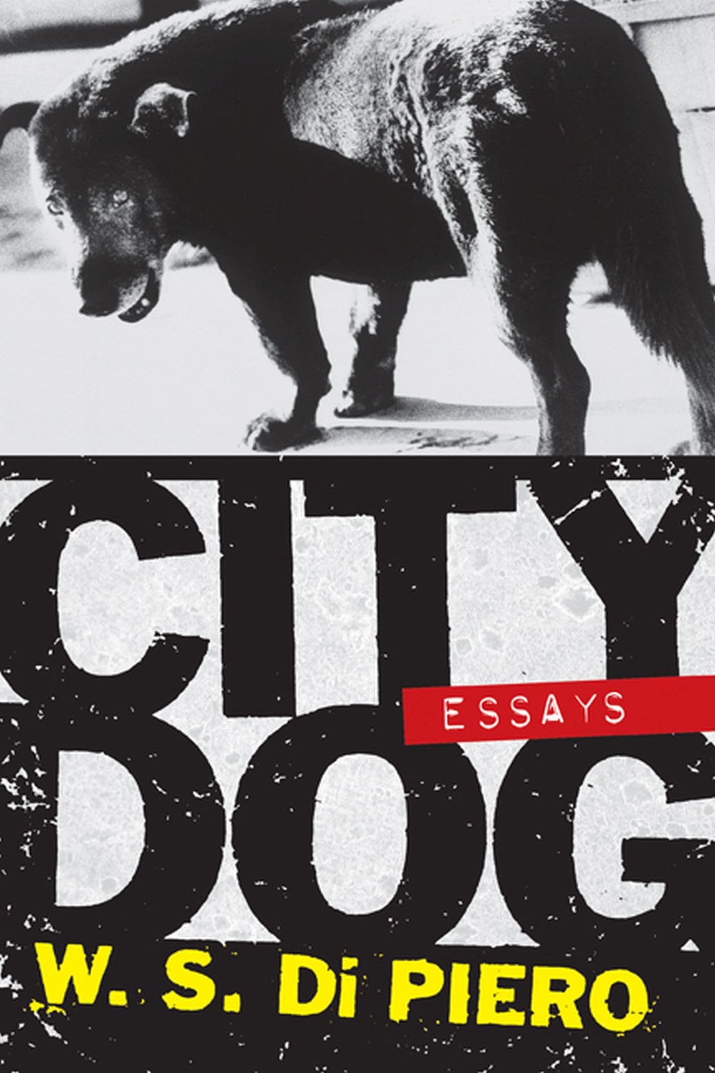 City Dog: Essays,Used