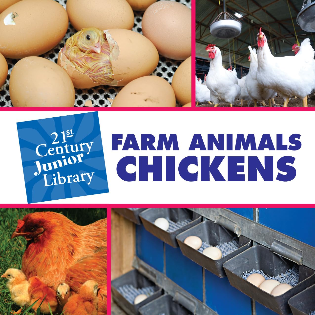 Farm Animals: Chickens (21st Century Junior Library: Farm Animals),Used