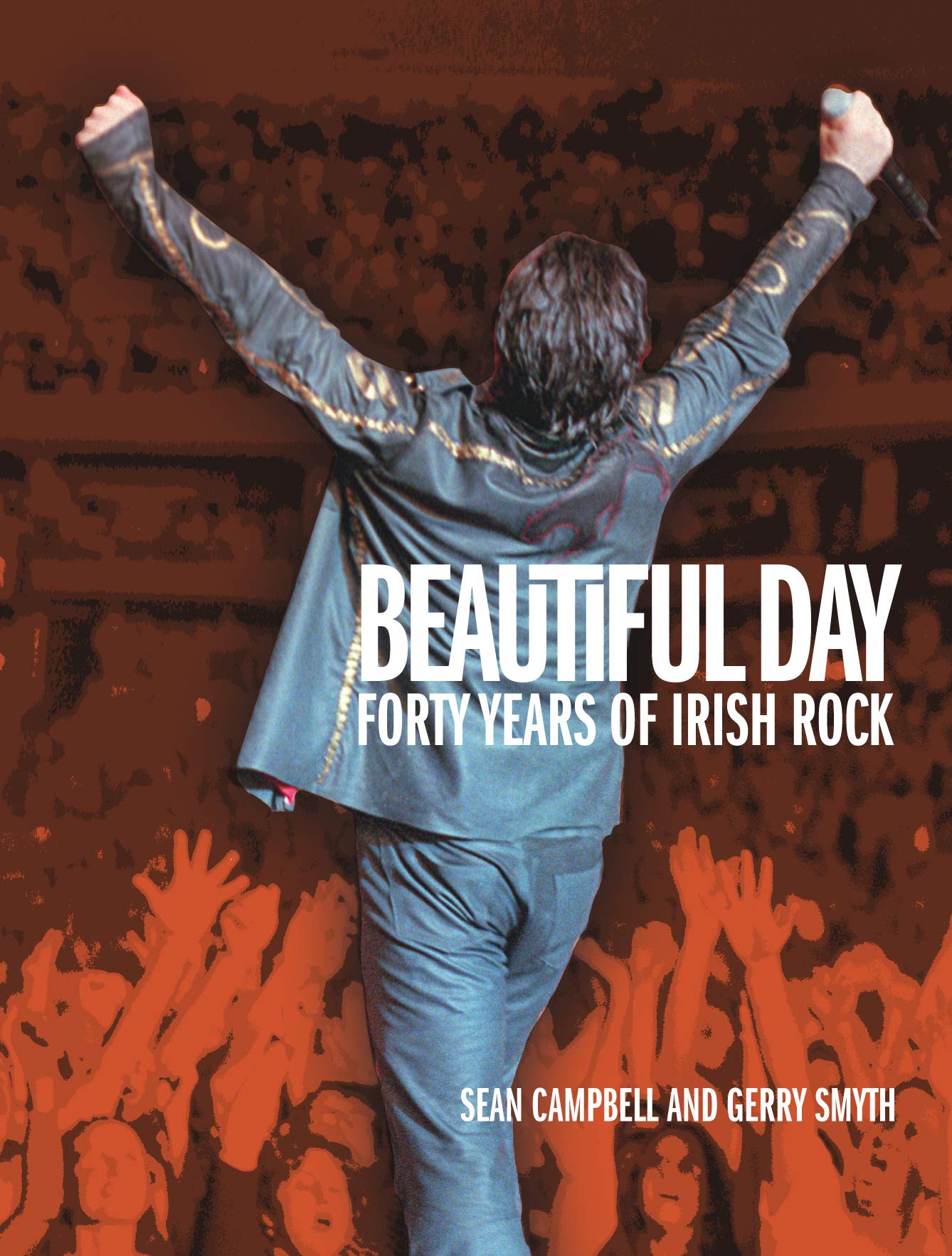 Beautiful Day: 40 years of Irish Rock,Used