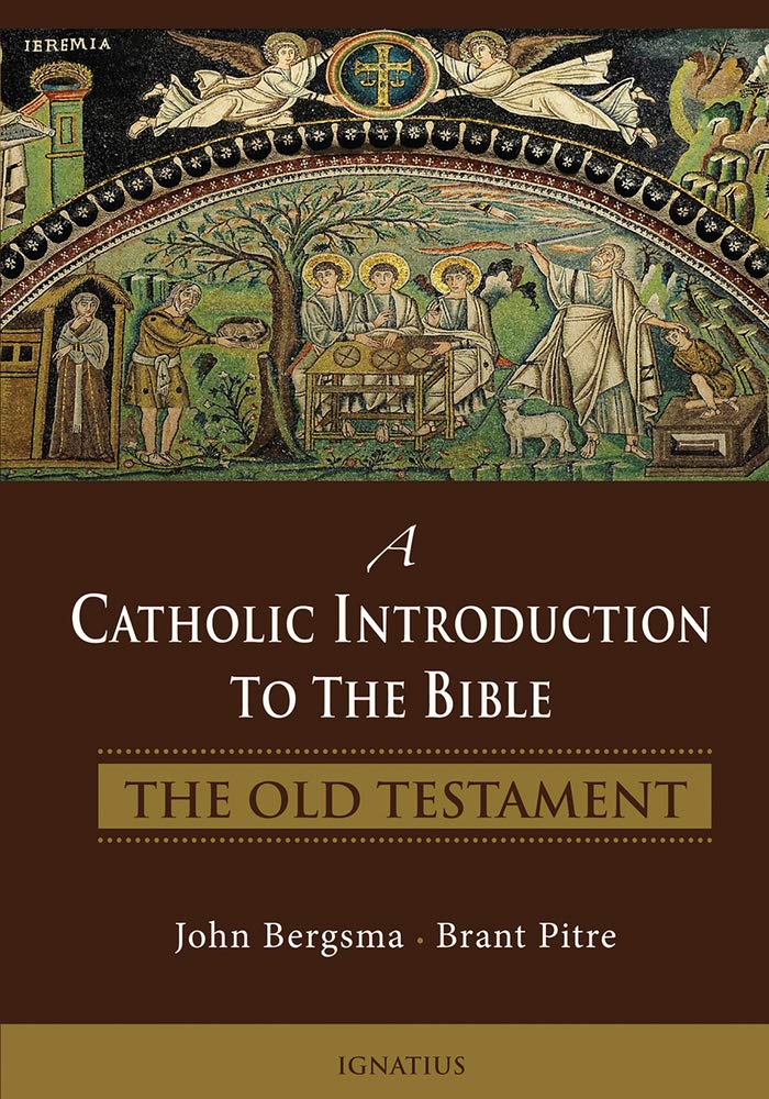 A Catholic Introduction to the Bible: The Old Testament,New