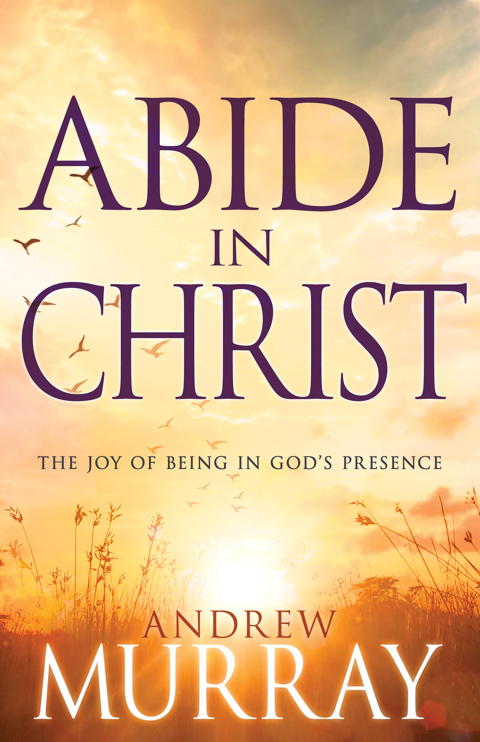 Abide In Christ: The Joy Of Being In God'S Presence,New