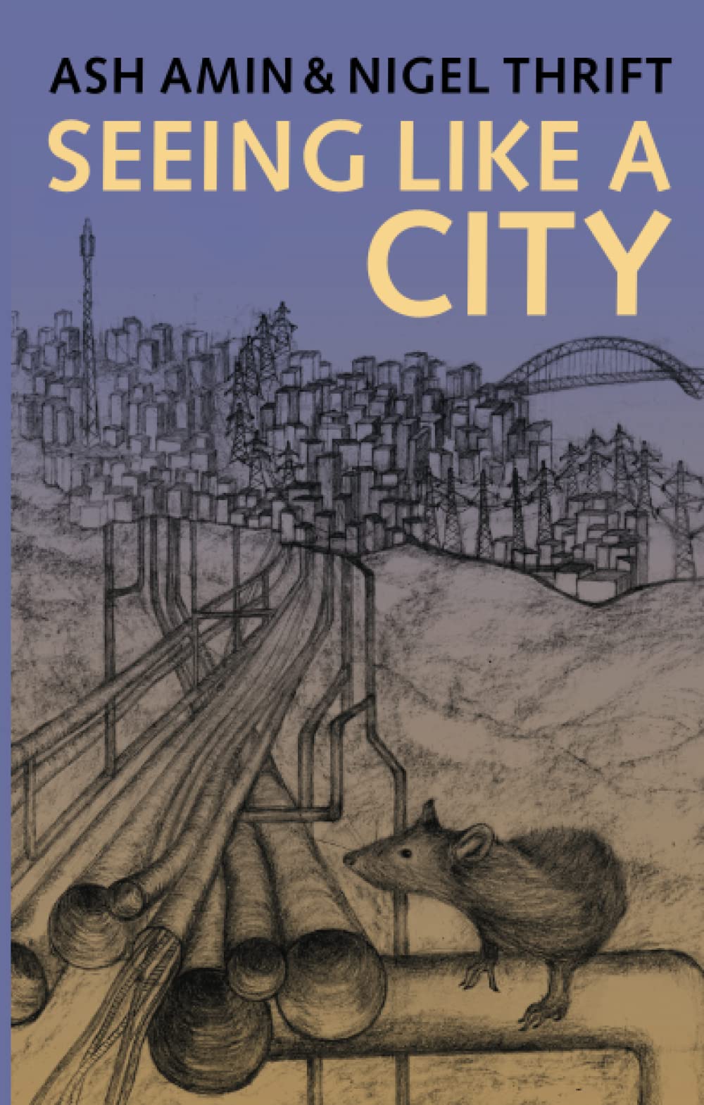 Seeing Like a City,Used