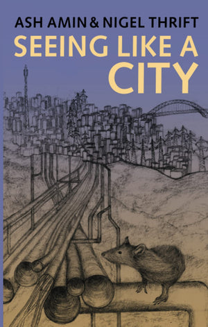 Seeing Like a City,Used