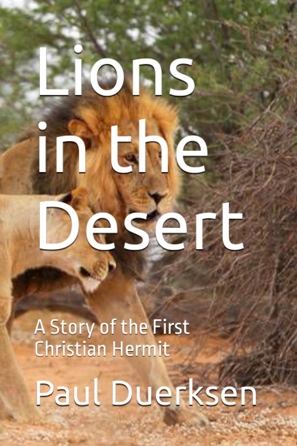 Lions in the Desert: A Story of the First Christian Hermit,Used