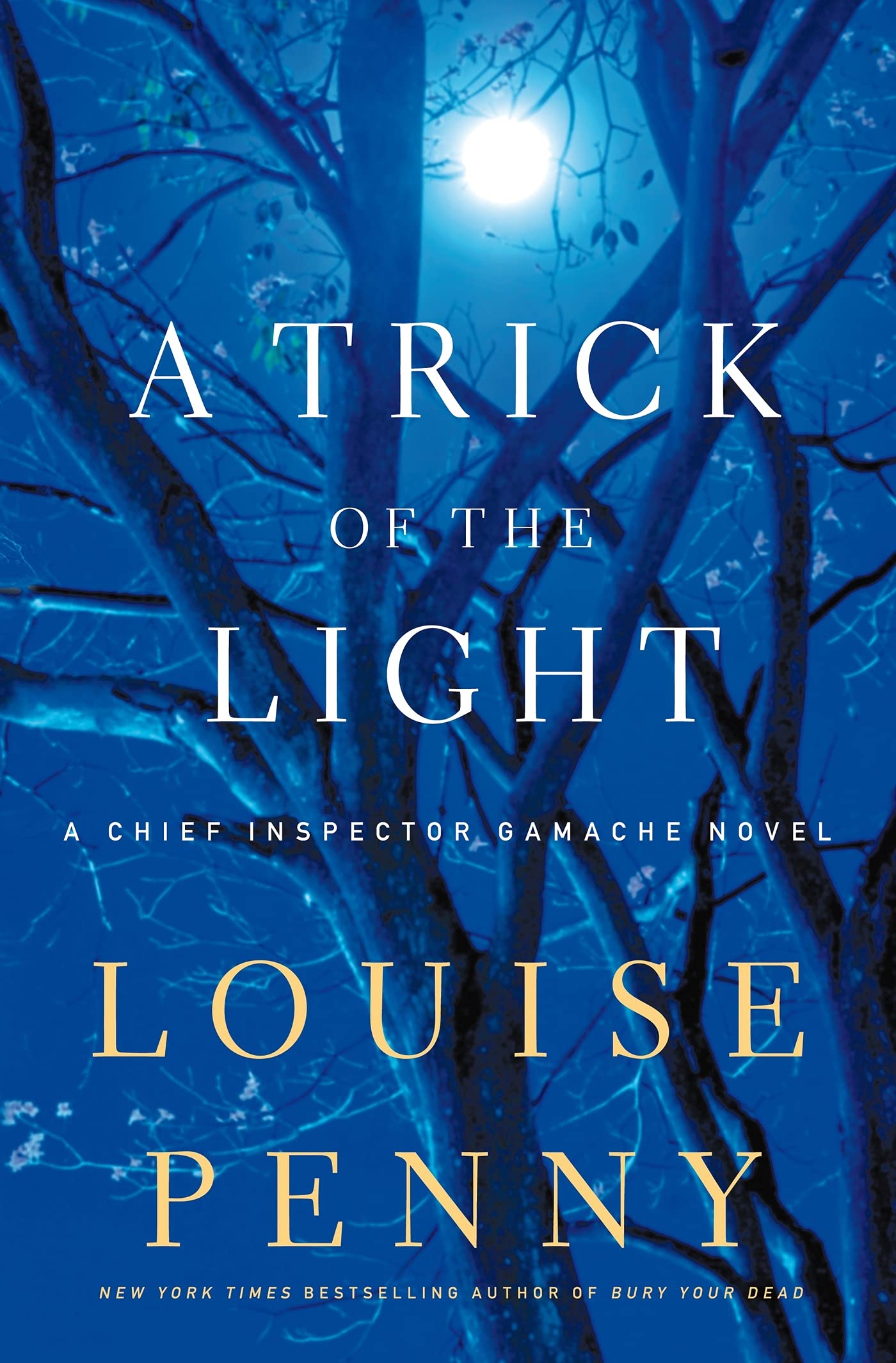 A Trick Of The Light: A Chief Inspector Gamache Novel (Chief Inspector Gamache Novel, 7),Used