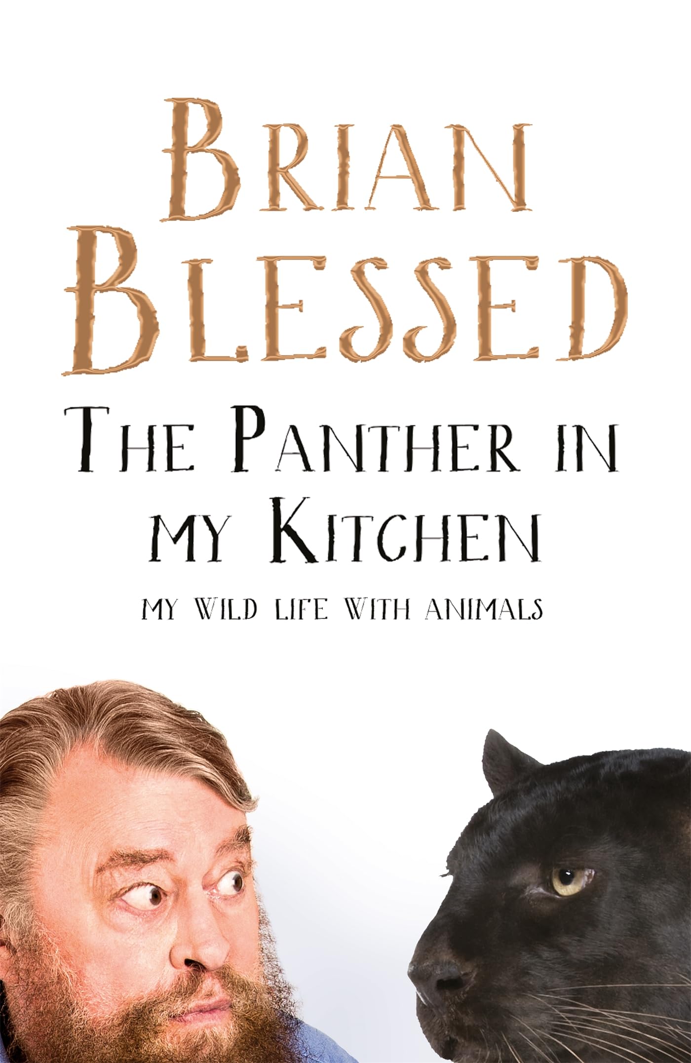Panther In My Kitchen,Used