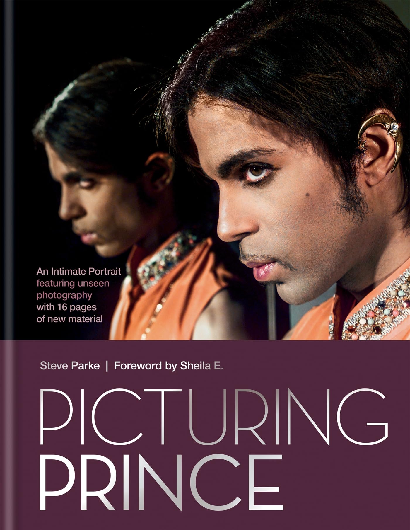 Picturing Prince: An Intimate Portrait,New