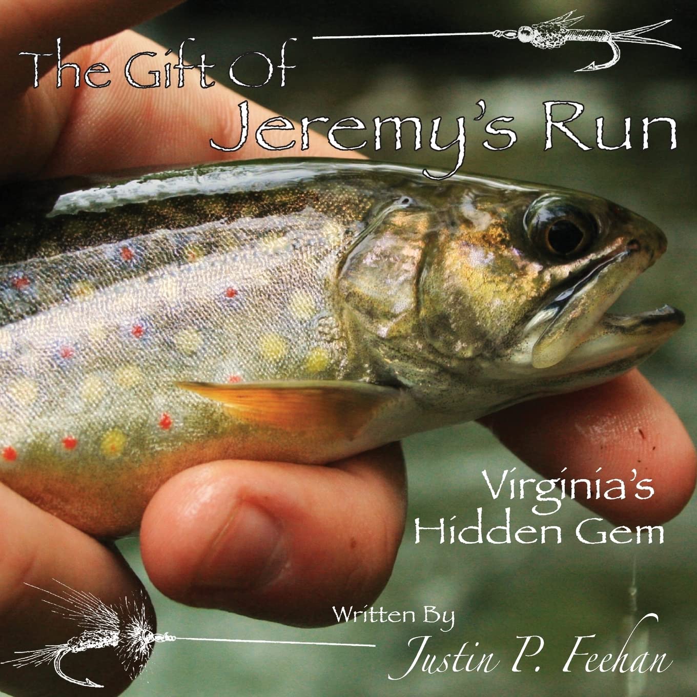 The Gift Of Jeremy'S Run: Virginia'S Hidden Gem,Used