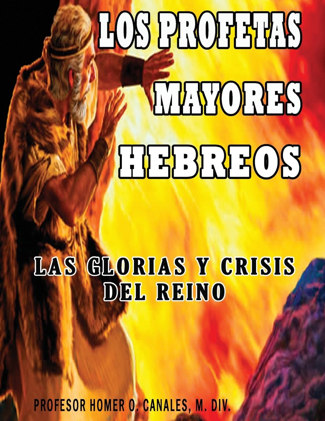 Los profetas mayores hebreos (Spanish Edition),Used
