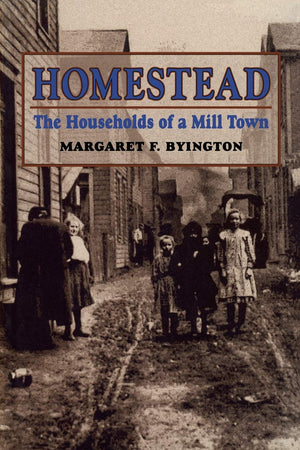 Homestead: The Households of a Mill Town,Used